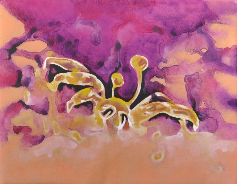 Serie "Natura". Pintura acrílica sobre lienzo, 30,5 X 38,5 cm, 2024.